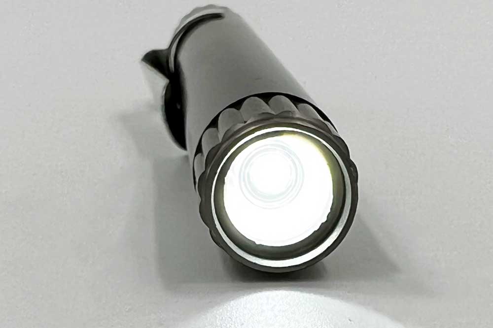 Cleaning Tools 94 LED-Taschenlampe TL 1/5, schwarz