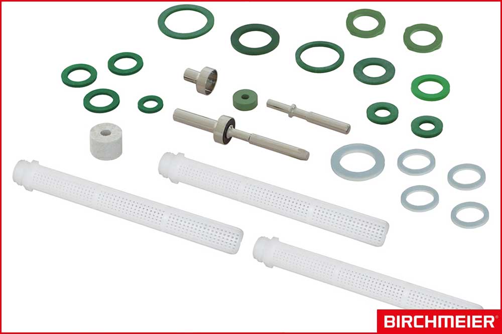 BIRCHMEIER 12060601 Dichtungssatz - chemiebeständige FKM (Viton)-Dichtungen