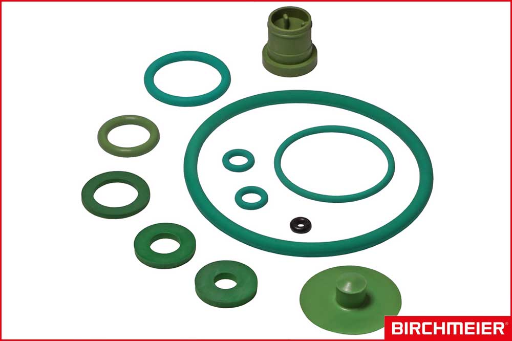 BIRCHMEIER 11614802-SB Dichtungssatz - chemiebeständige FKM (Viton)-Dichtungen