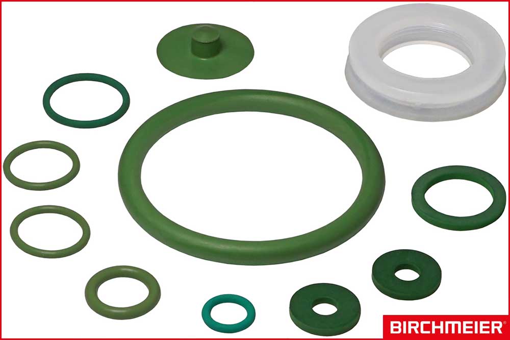 BIRCHMEIER 11905101 Dichtungssatz Foam-Matic 5 P für Säuren