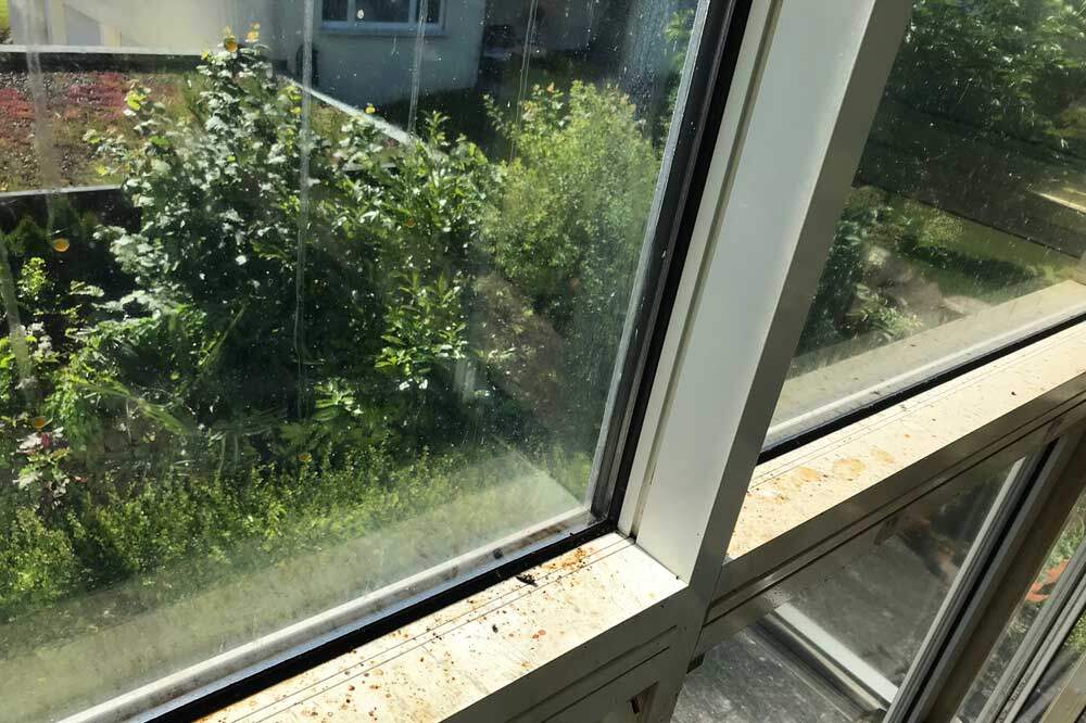 PRAMOL T3 alka - Tensidfreier, alkalischer Reiniger für Nikotin, Russ, usw., 1000 ml – Bild 2